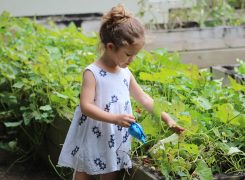 Gardening Funshop